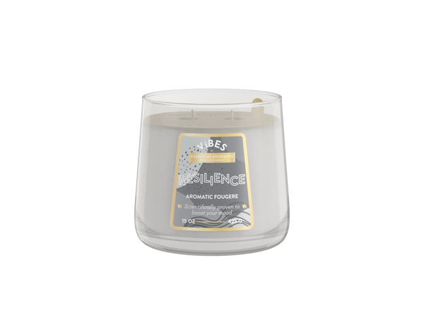 Resilience 2-wick 15oz Jar Candle Product Image 1