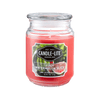 1 of Juicy Watermelon Slice 18oz Jar Candle product images